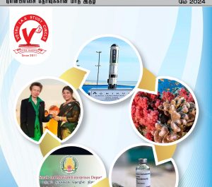 மே 2024